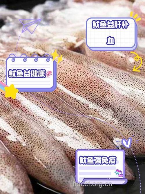 夏季吃鱿鱼有什么好处