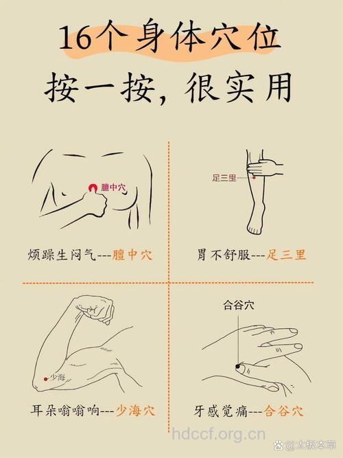 中医按摩穴位防病又保健