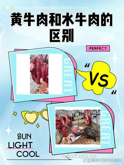 黄牛肉和水牛肉有什么区别