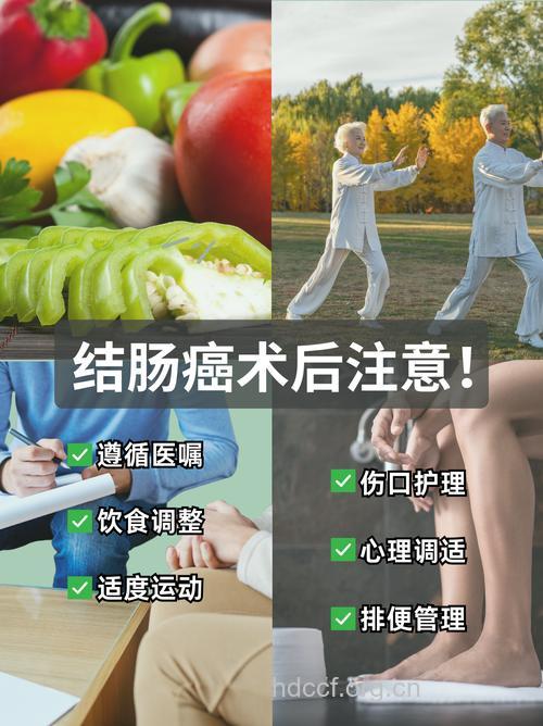 术后请多给结肠癌患者“喂”蜜