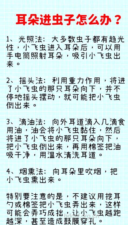 虫子爬进耳朵怎么办
