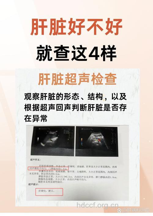 判是否得肝癌应做哪些检查