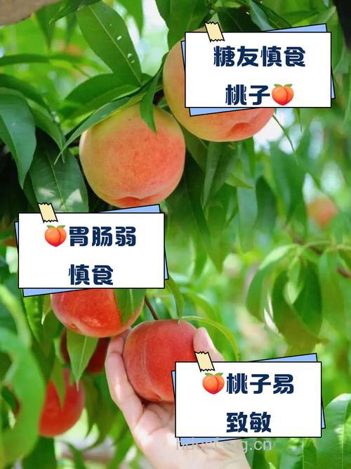 哪些人不宜食用桃子