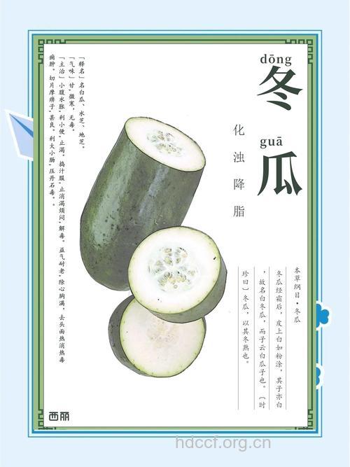 冬瓜有哪些养生功效