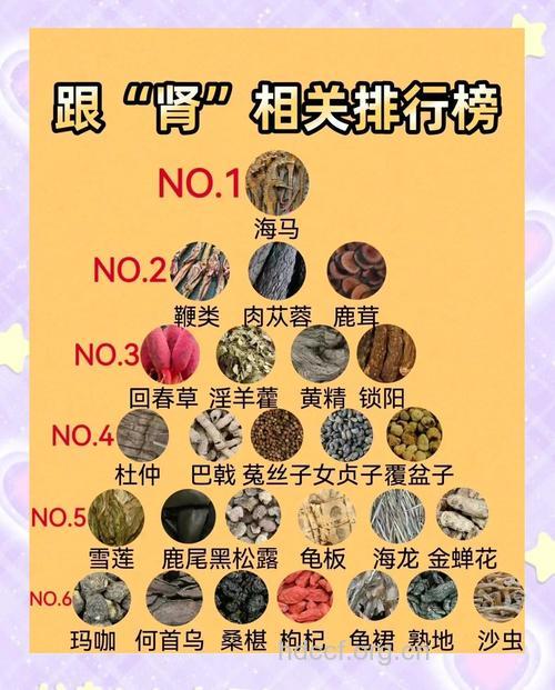 哪些中药可以护肾?