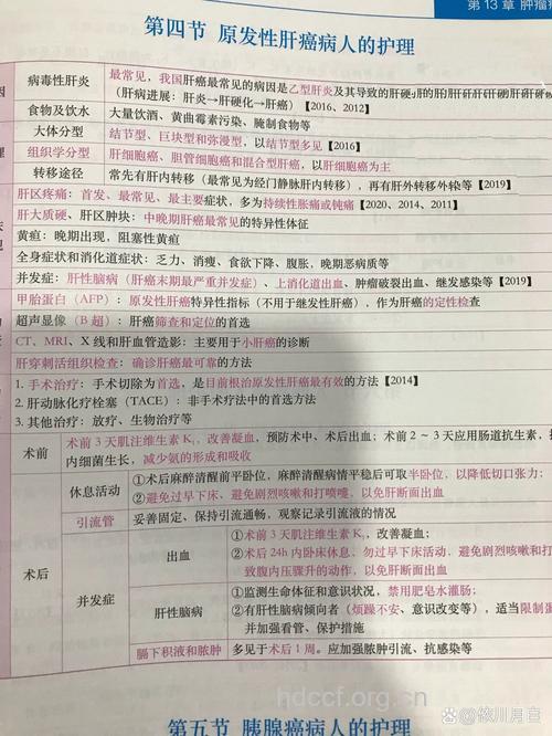 原发性肝癌晚期护理要点