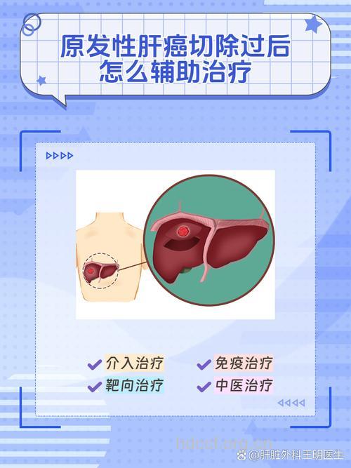 原发性肝癌的非手术治疗