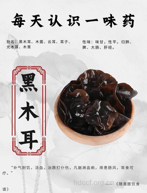 夏季为什么不能食用鲜木耳