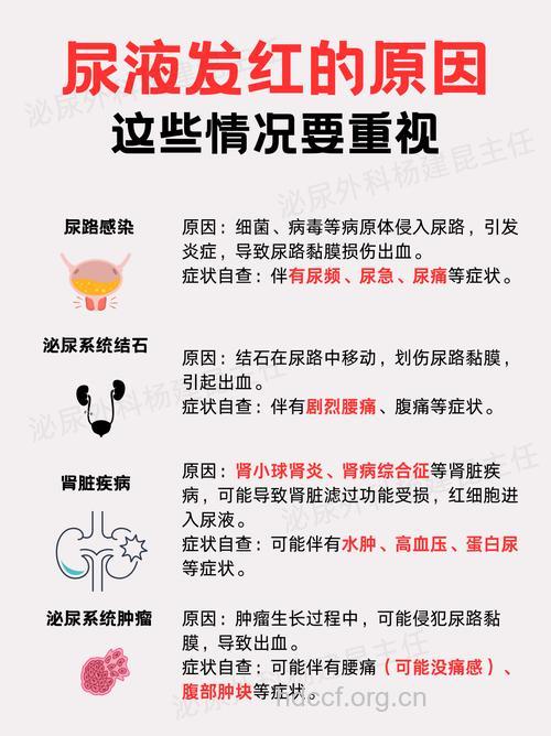 哪些疾病会导致血尿