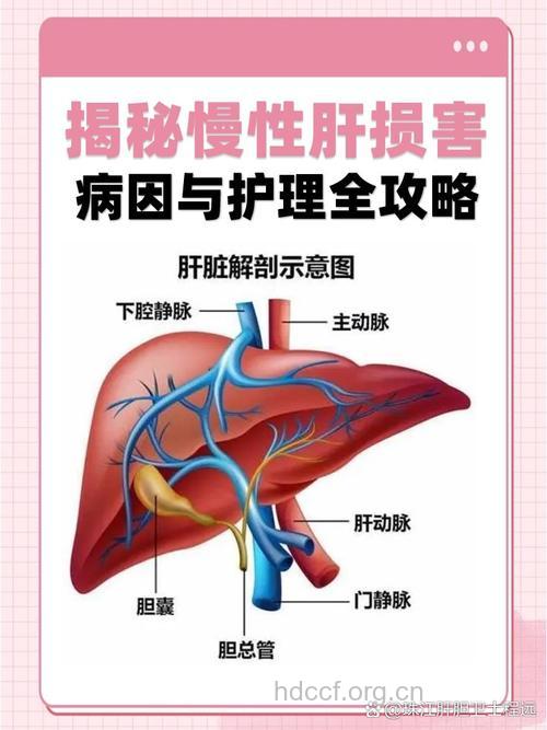 肝脏备受折磨 切还是不切?