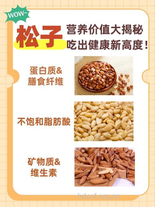 有哪些松子食疗方养生