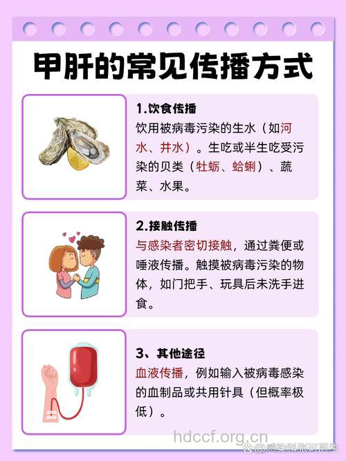 注意！甲肝容易与这些疾病混淆