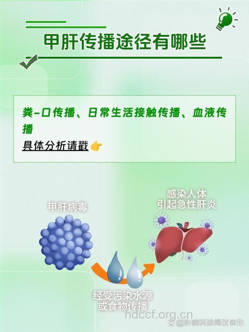 甲肝常见的三种传播方式