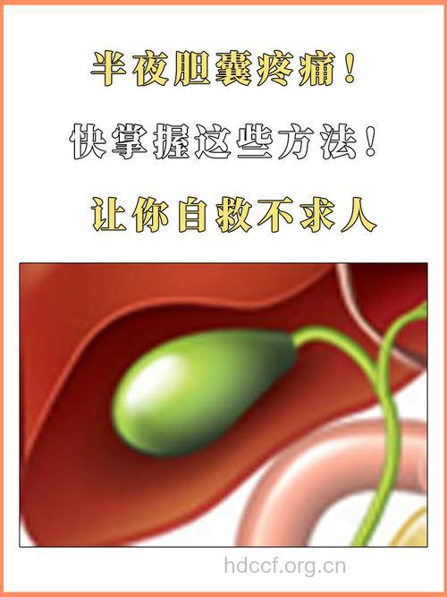 夜间胆绞痛如何急救
