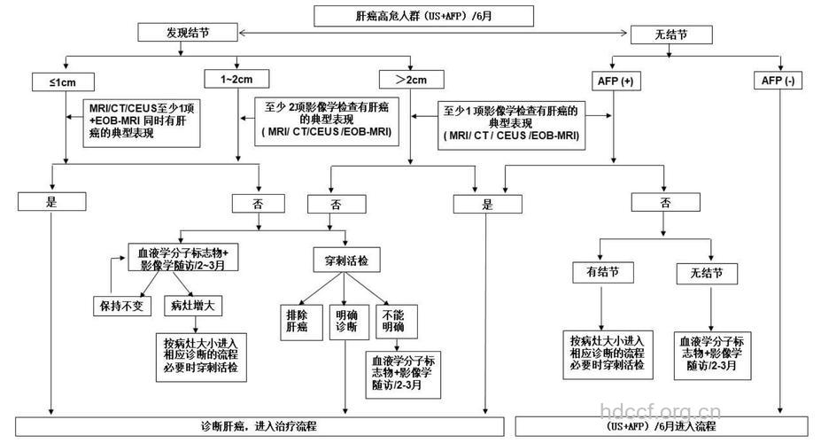 原发性肝癌的诊断方法