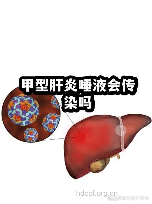 甲肝会通过唾液传染吗