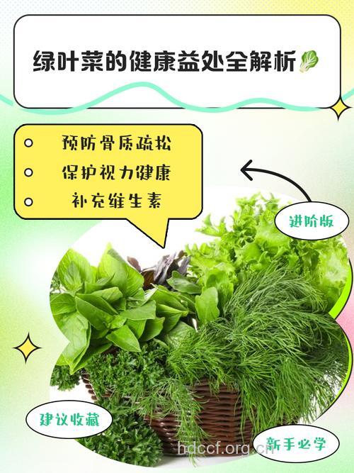 常吃绿叶菜有什么好处