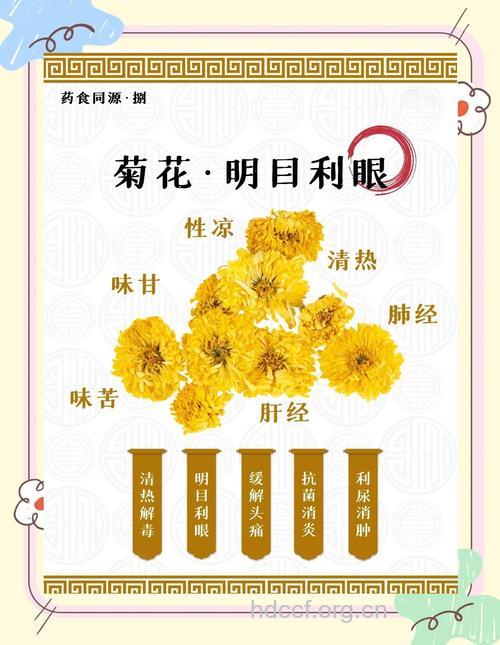 菊花药膳有哪些功效