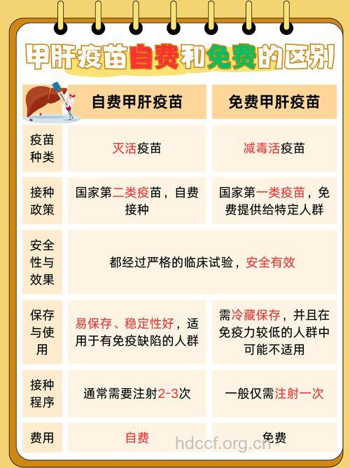 注射甲肝疫苗有哪些关键点