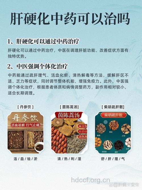 中药治疗肝病的几大注意事项