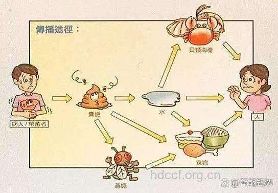 怎么吃海鲜预防甲肝方法