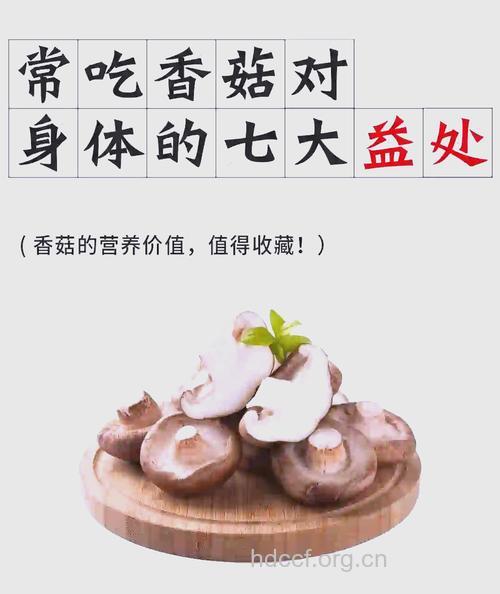 多吃香菇有助抗衰老