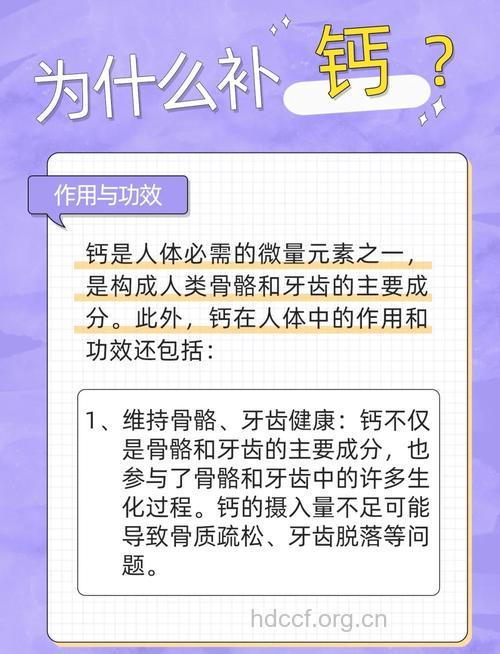钙能补肾吗