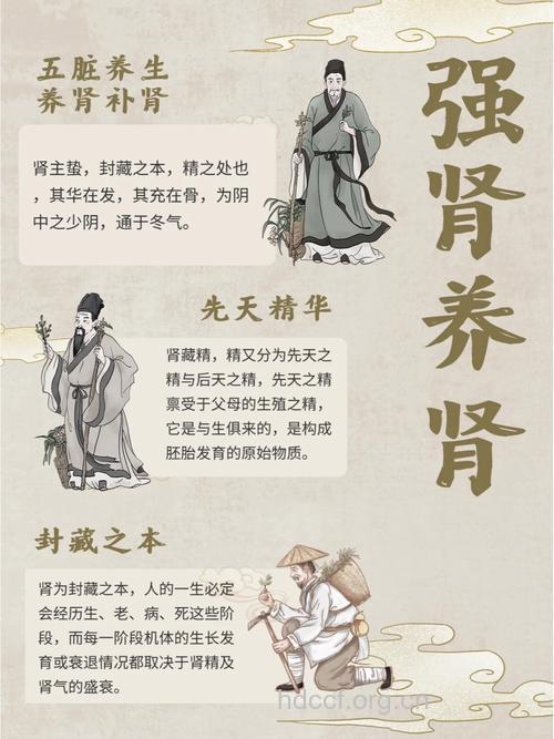 肾虚的人夏季容易难受 请及时做好补肾措施