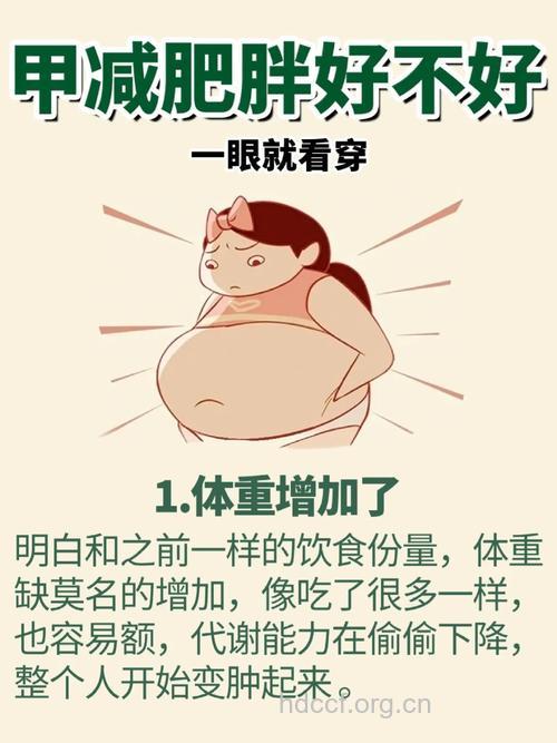 人到中年很容易发福 要选对方法健康减肥