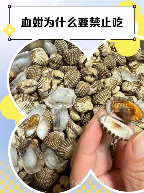 生吃蚶小心染上甲肝