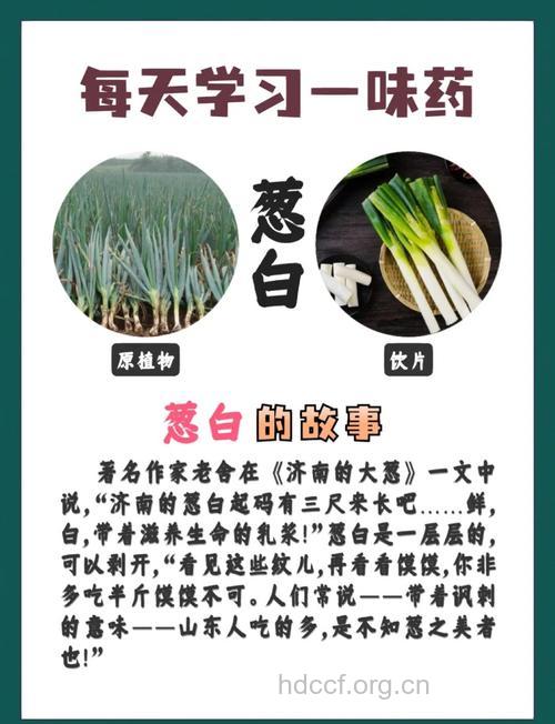 葱白可以治疗哪些疾病