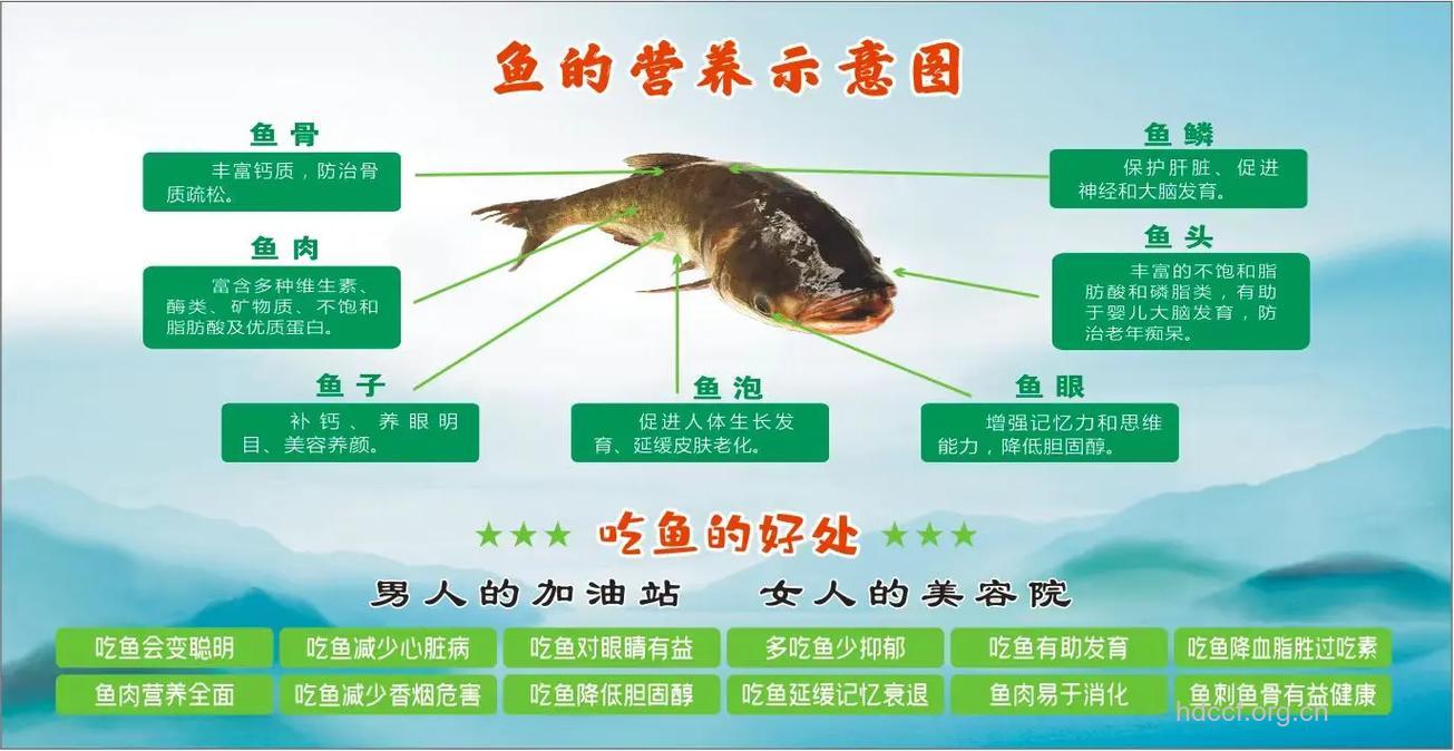 你知道怎么吃鱼养生