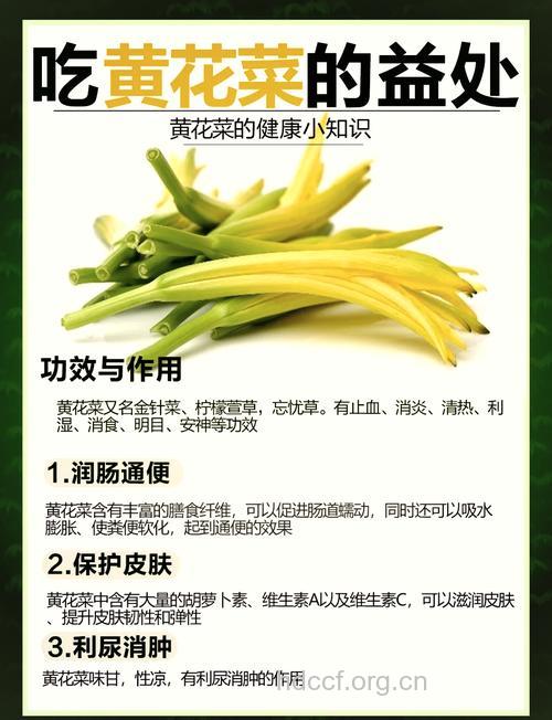 金针菜有哪些营养价值