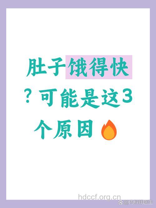 饿得快可能是这四个原因