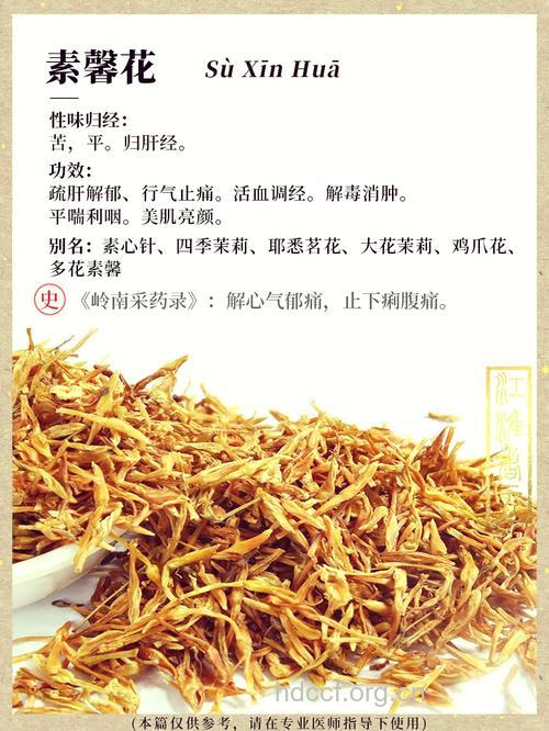 你知道素馨花有什么功效