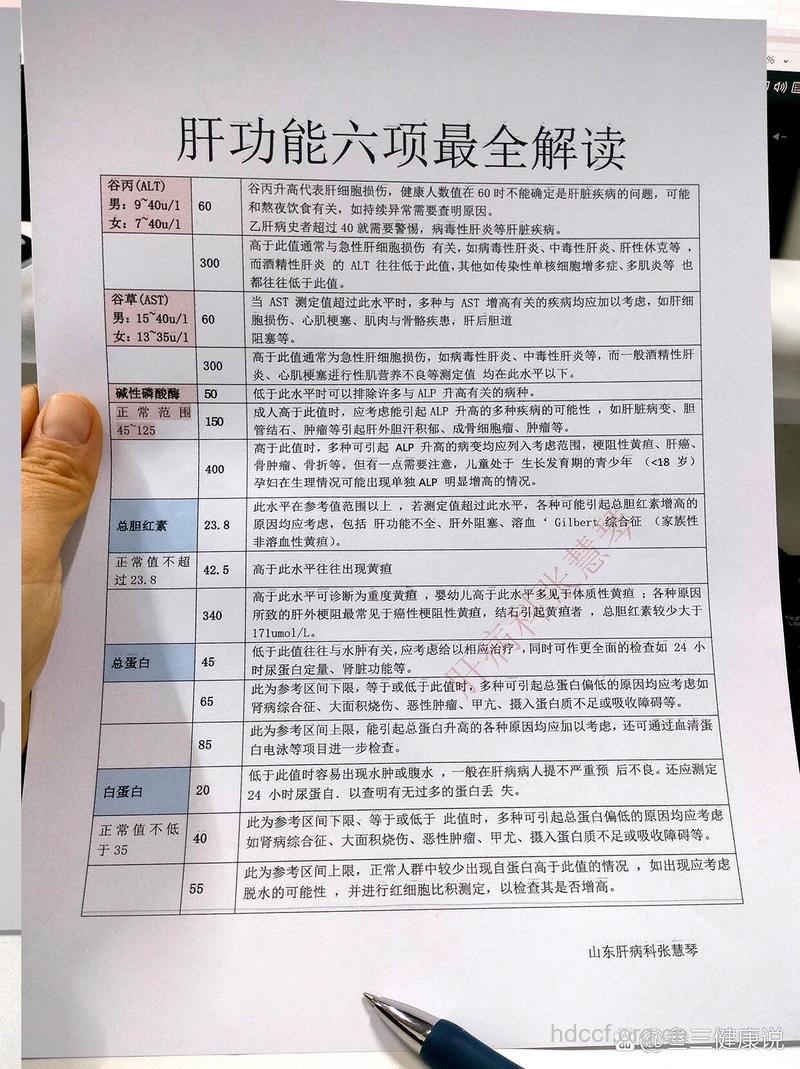 检查丙肝要做这6个项目