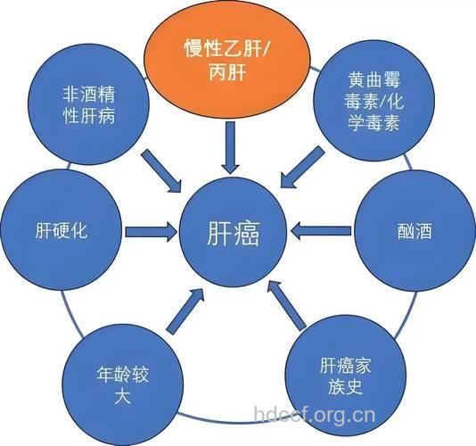 肝癌和哪些因素有关系