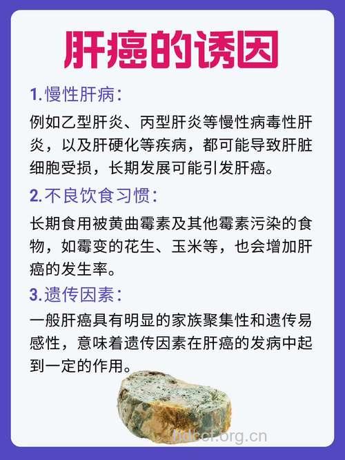 诱导肝癌发生的因素有哪些