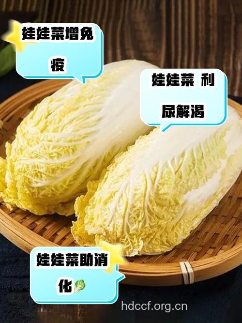 上班族吃娃娃菜的好处