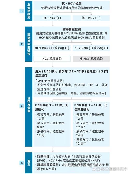 丙肝的诊断步骤