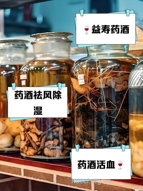 喝点药酒就可养生延年