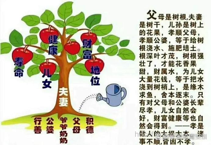 人有四根 护好四根才能更长寿