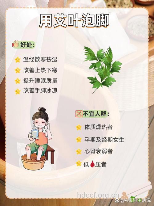 艾叶泡脚有什么好处 艾叶泡脚的好处