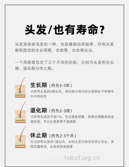 脱发的人更长寿 长寿的人有哪些特征