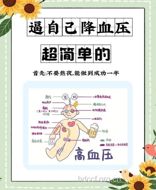 如何保持血压稳定