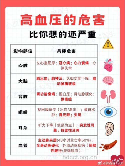 高血压对人体脏器有何伤害