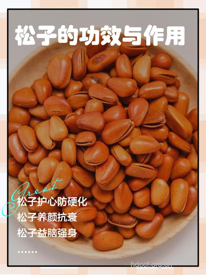 你知道松子有什么功效