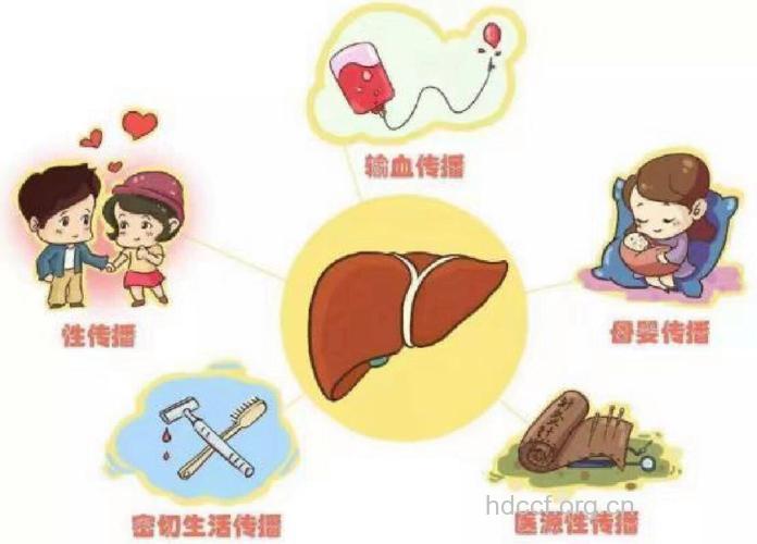 丙肝传播途径是什么