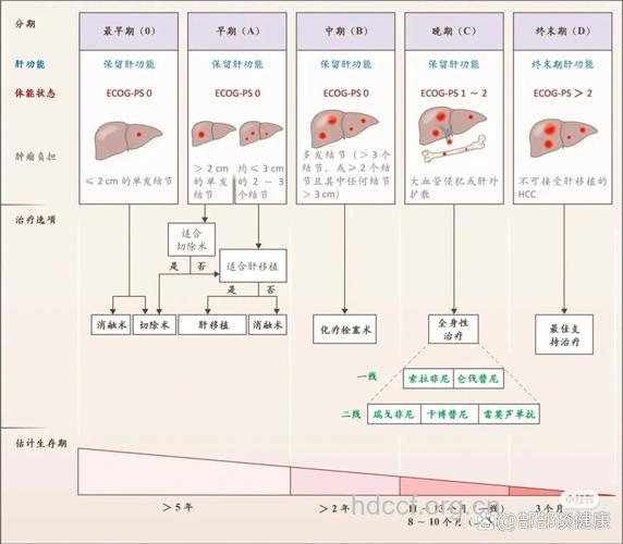 原发性肝癌治愈的标准