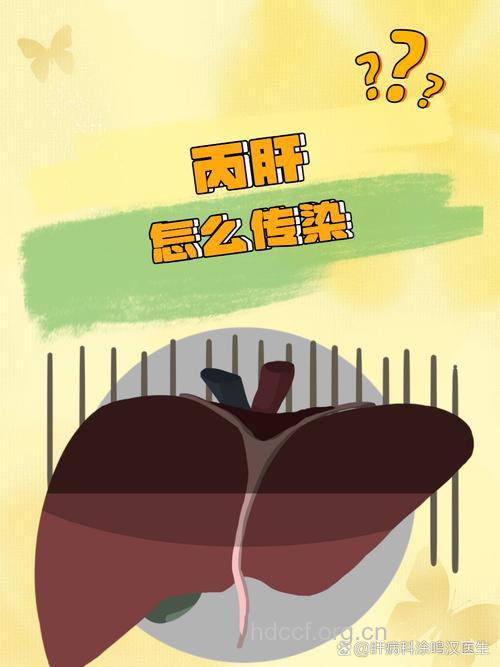 丙型肝炎病毒有传染性吗